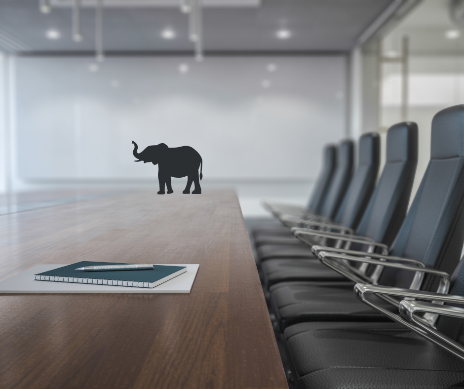 elephant in the boardroom